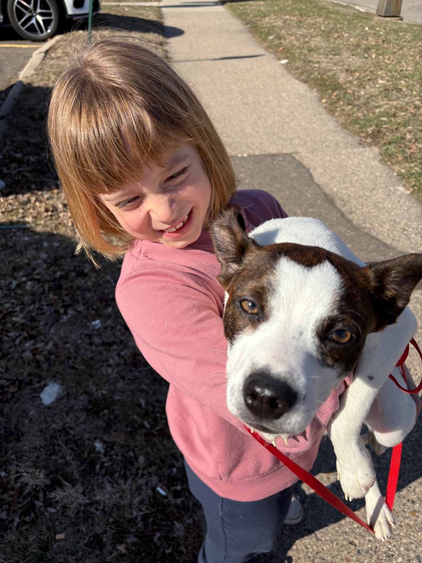 Jax - Bo-Jack mix